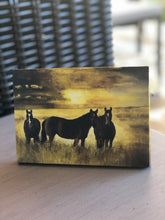 Load image into Gallery viewer, &quot;Twilight Pasture&quot; Canvas