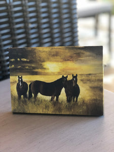 "Twilight Pasture" Canvas