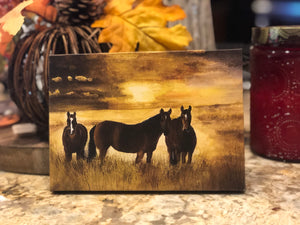 "Twilight Pasture" Canvas