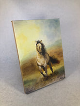 Load image into Gallery viewer, &quot;Desert Run&quot; Canvas