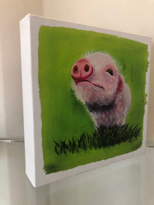 "Piggy" Canvas