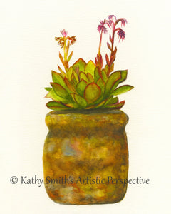 "Blooming Hen & Chicks Succulent" Print